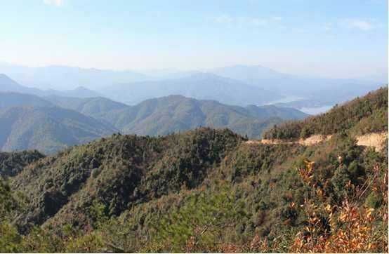 養殖基地