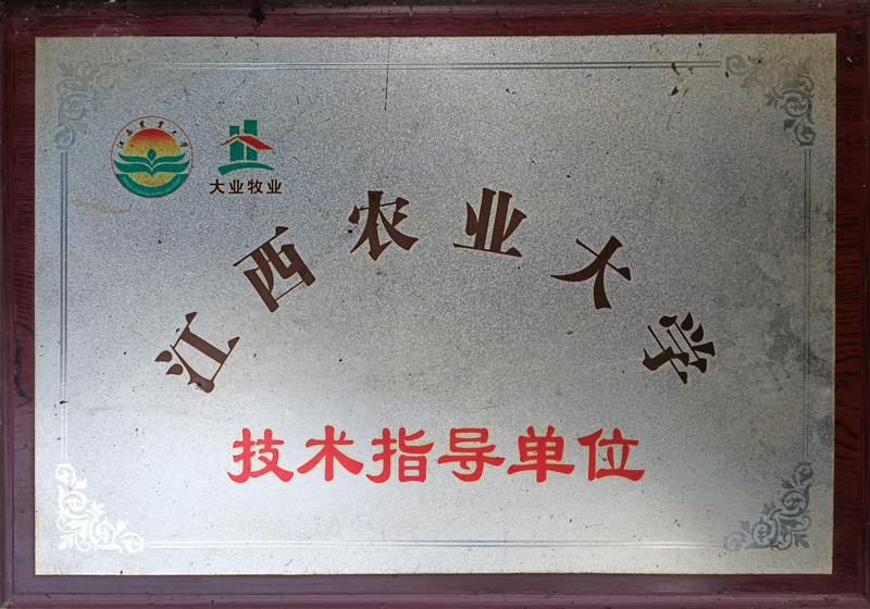 技術(shù)指導單位